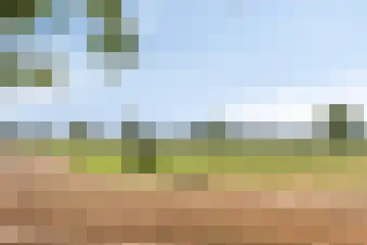 Maasdijk 70 Demen thumbnail 7