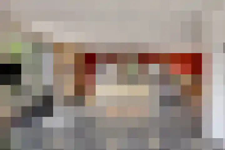 Maasdijk 70 Demen thumbnail 9
