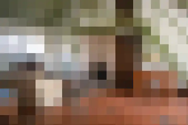 Maasdijk 71 Poederoijen thumbnail 10