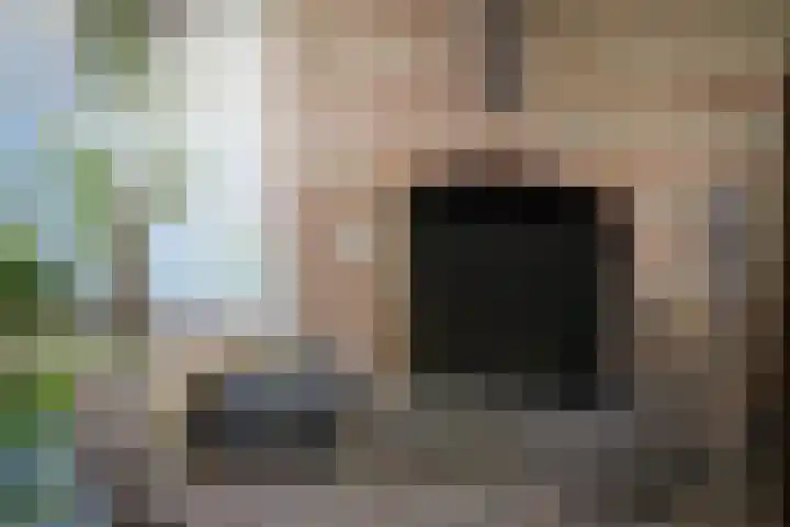 Maasdijk 71 Poederoijen thumbnail 12