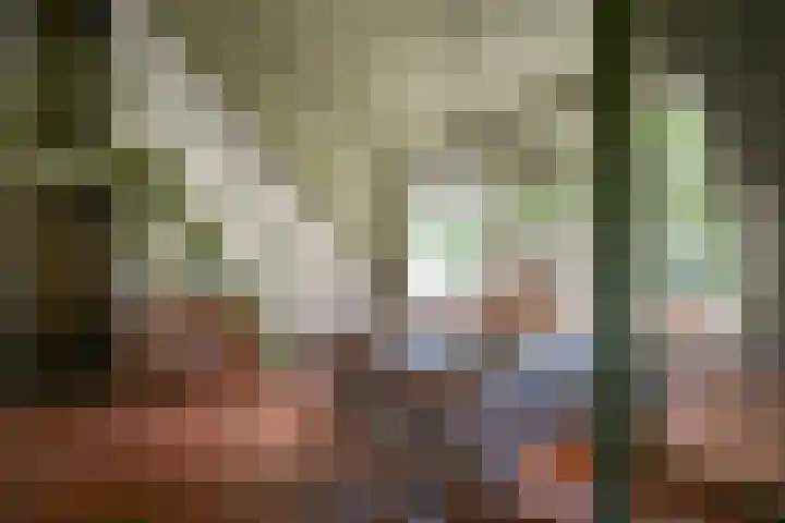 Maasdijk 71 Poederoijen thumbnail 15