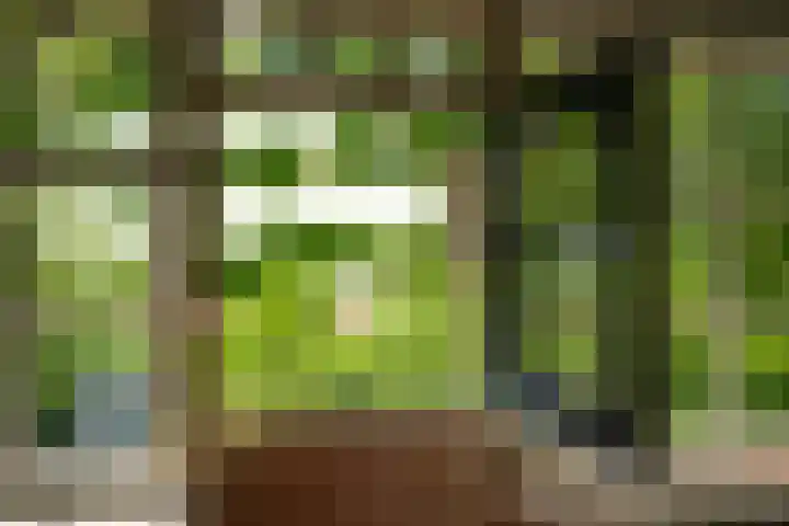 Maasdijk 71 Poederoijen thumbnail 16