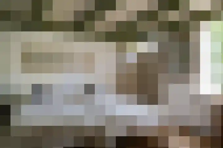 Maasdijk 71 Poederoijen thumbnail 19