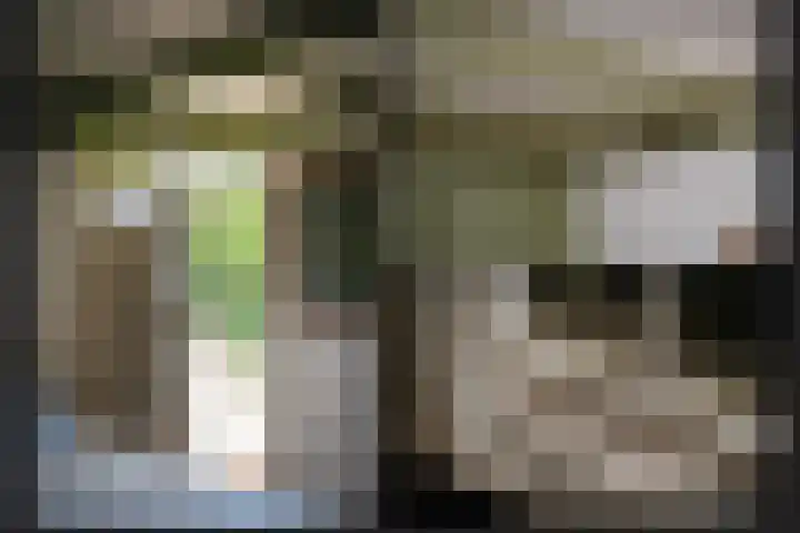 Maasdijk 71 Poederoijen thumbnail 21