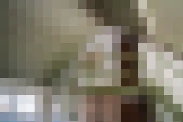 Maasdijk 71 Poederoijen thumbnail 23