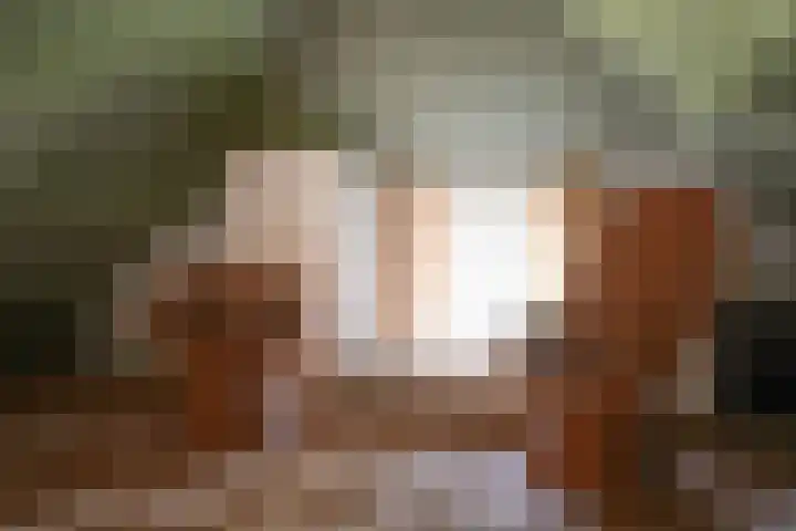 Maasdijk 71 Poederoijen thumbnail 25