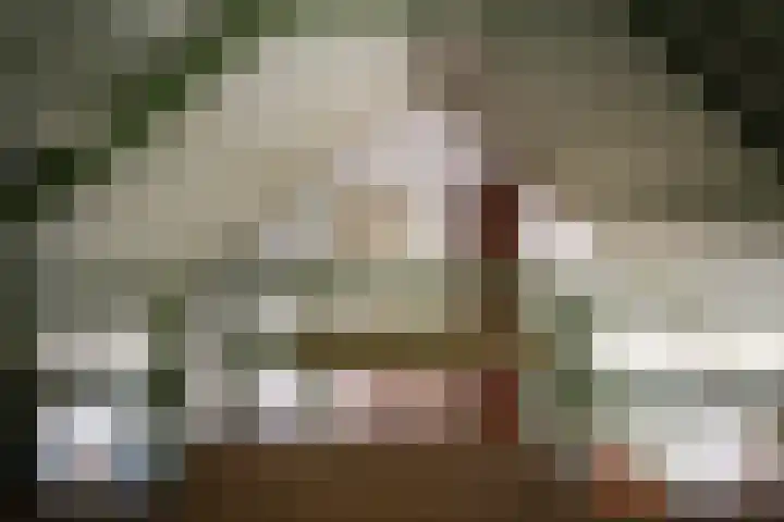 Maasdijk 71 Poederoijen thumbnail 26