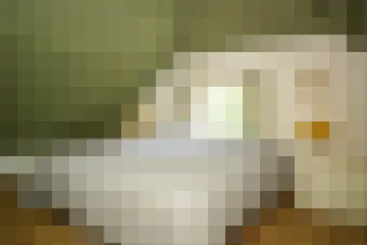 Maasdijk 71 Poederoijen thumbnail 27