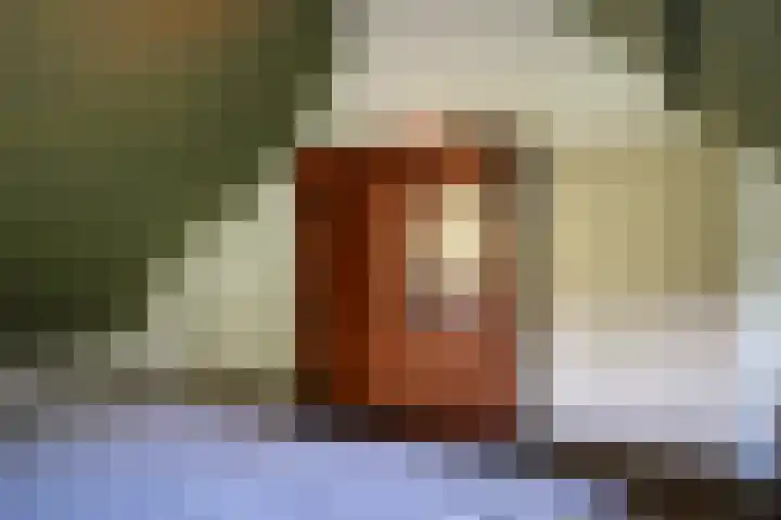 Maasdijk 71 Poederoijen thumbnail 28