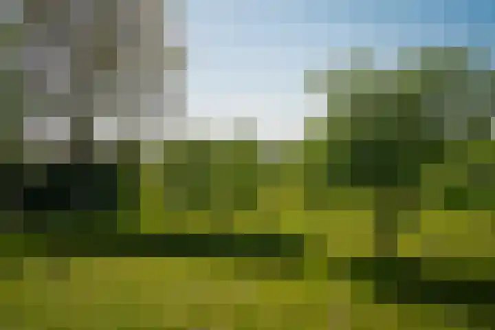 Maasdijk 71 Poederoijen thumbnail 34
