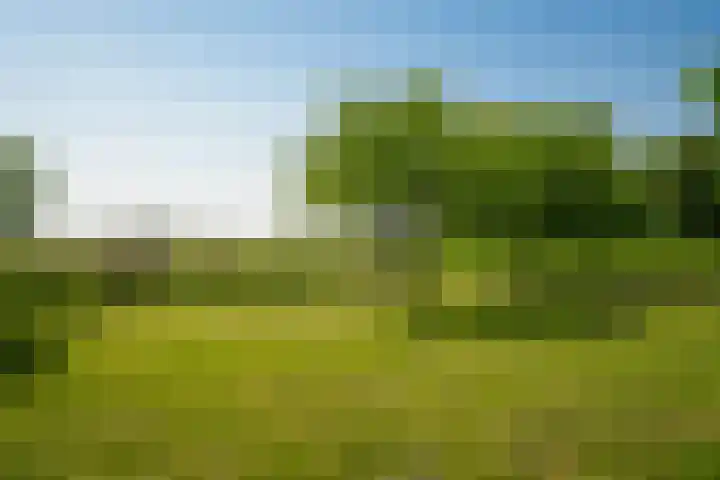 Maasdijk 71 Poederoijen thumbnail 35