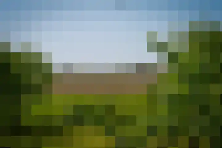 Maasdijk 71 Poederoijen thumbnail 36