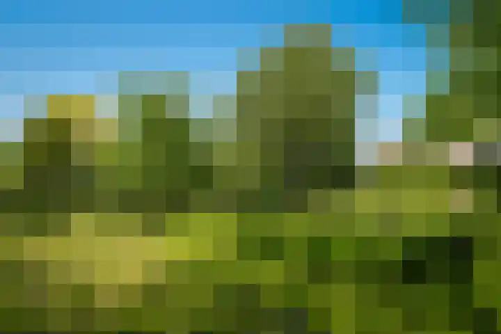 Maasdijk 71 Poederoijen thumbnail 37