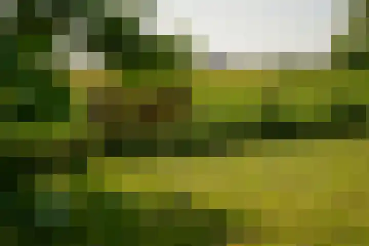 Maasdijk 71 Poederoijen thumbnail 38