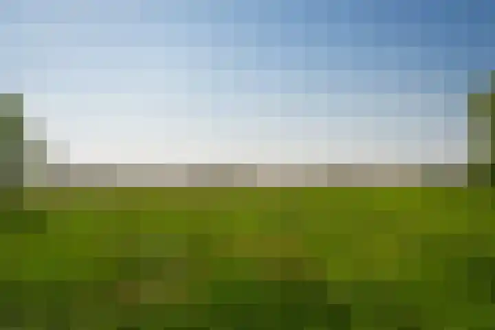 Maasdijk 71 Poederoijen thumbnail 39