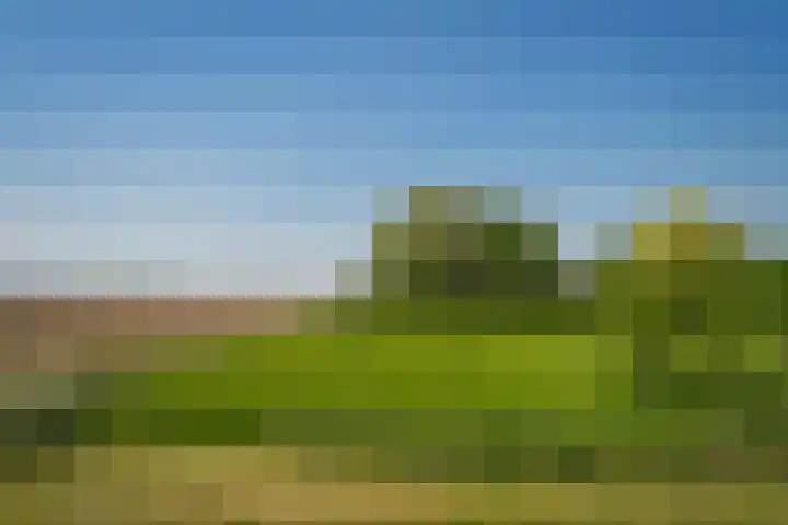 Maasdijk 71 Poederoijen thumbnail 40
