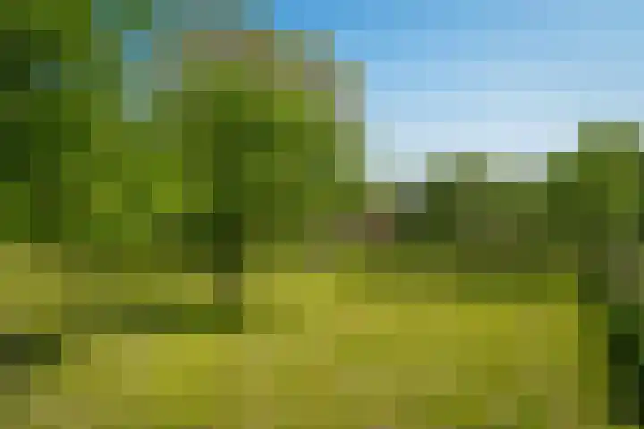 Maasdijk 71 Poederoijen thumbnail 41