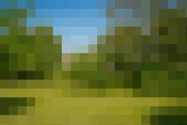 Maasdijk 71 Poederoijen thumbnail 42