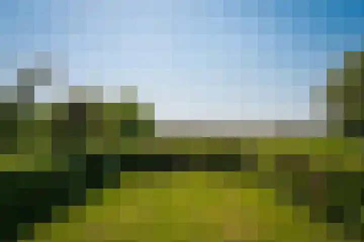 Maasdijk 71 Poederoijen thumbnail 44