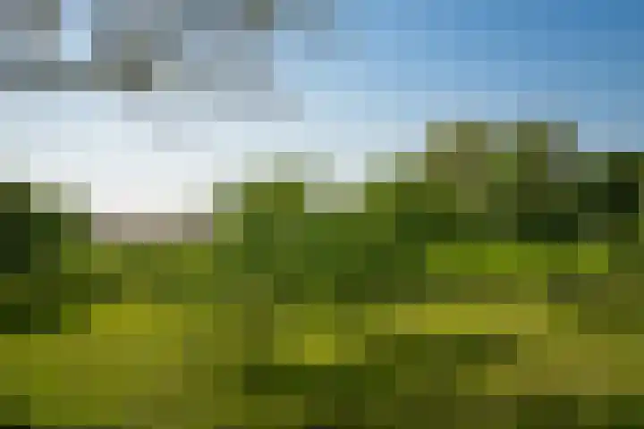 Maasdijk 71 Poederoijen thumbnail 45