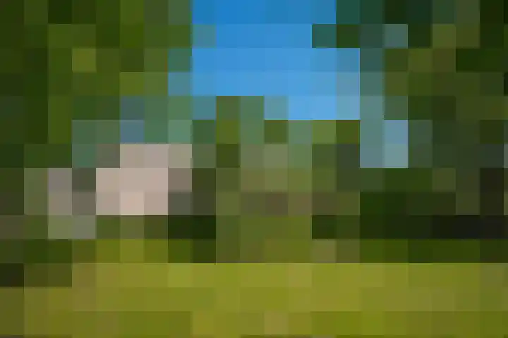 Maasdijk 71 Poederoijen thumbnail 47