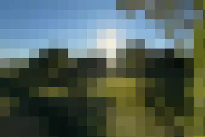 Maasdijk 71 Poederoijen thumbnail 48