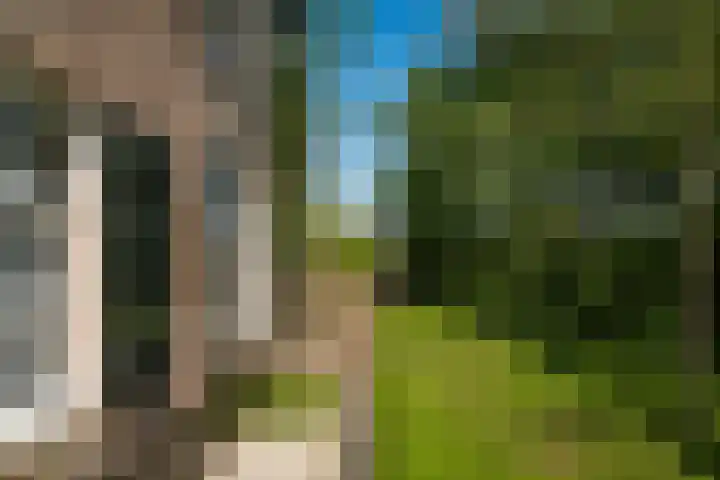 Maasdijk 71 Poederoijen thumbnail 49