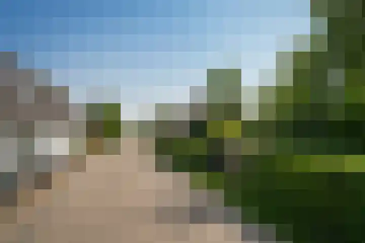 Maasdijk 71 Poederoijen thumbnail 56