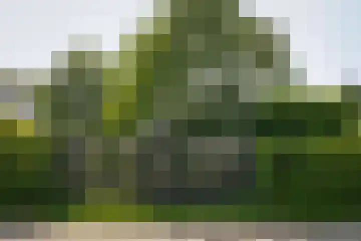 Maasdijk 71 Poederoijen thumbnail 57