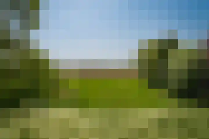 Maasdijk 71 Poederoijen thumbnail 58