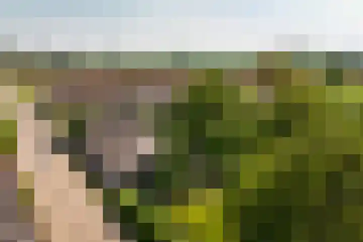 Maasdijk 71 Poederoijen thumbnail 61