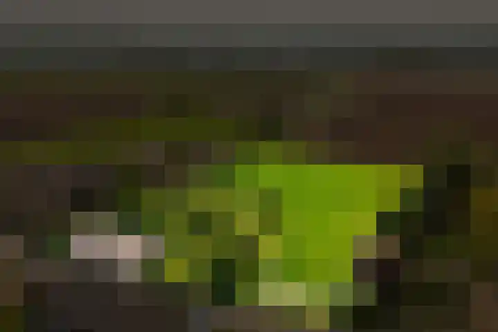 Maasdijk 71 Poederoijen thumbnail 62