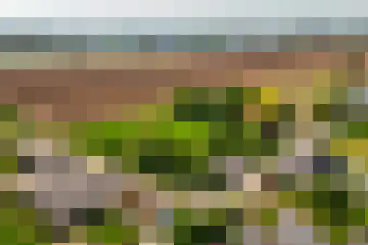 Maasdijk 71 Poederoijen thumbnail 63