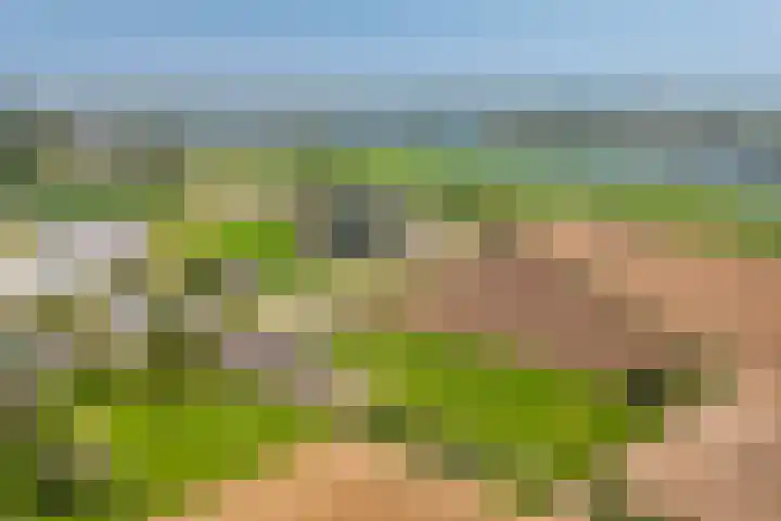 Maasdijk 71 Poederoijen thumbnail 64