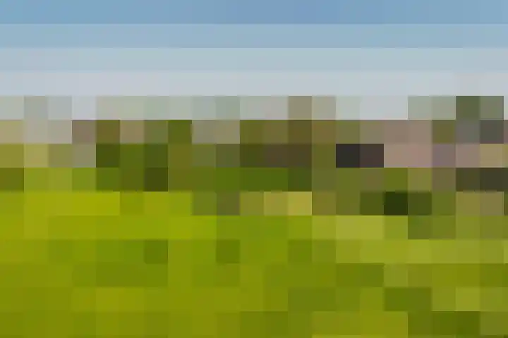 Maasdijk 71 Poederoijen thumbnail 65