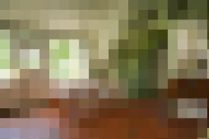 Maasdijk 71 Poederoijen thumbnail 7
