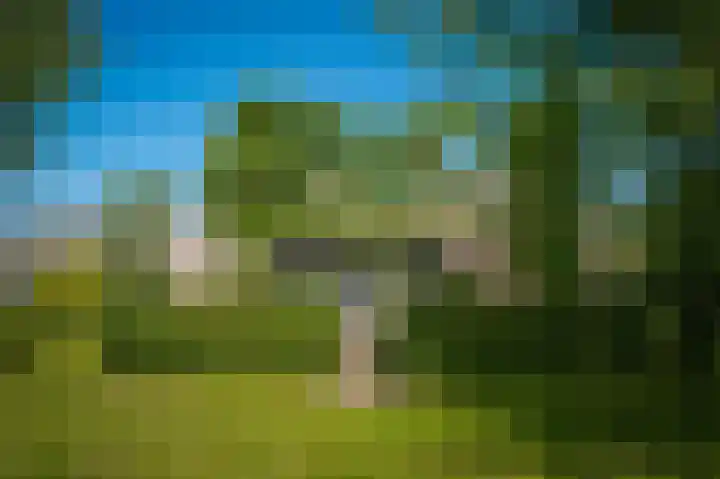 Maasdijk 71 Poederoijen thumbnail 70