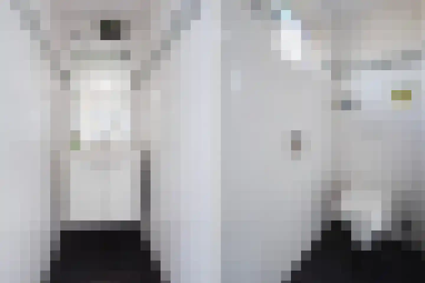 Maasdijk 73 Maasdijk thumbnail 11