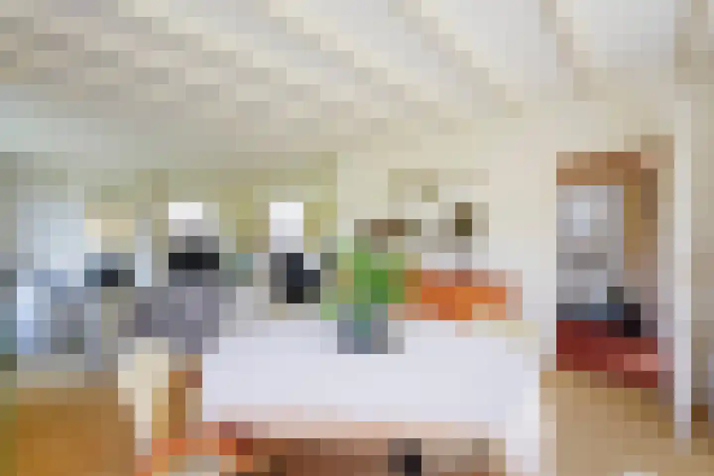 Maasdijk 73 Maasdijk thumbnail 14