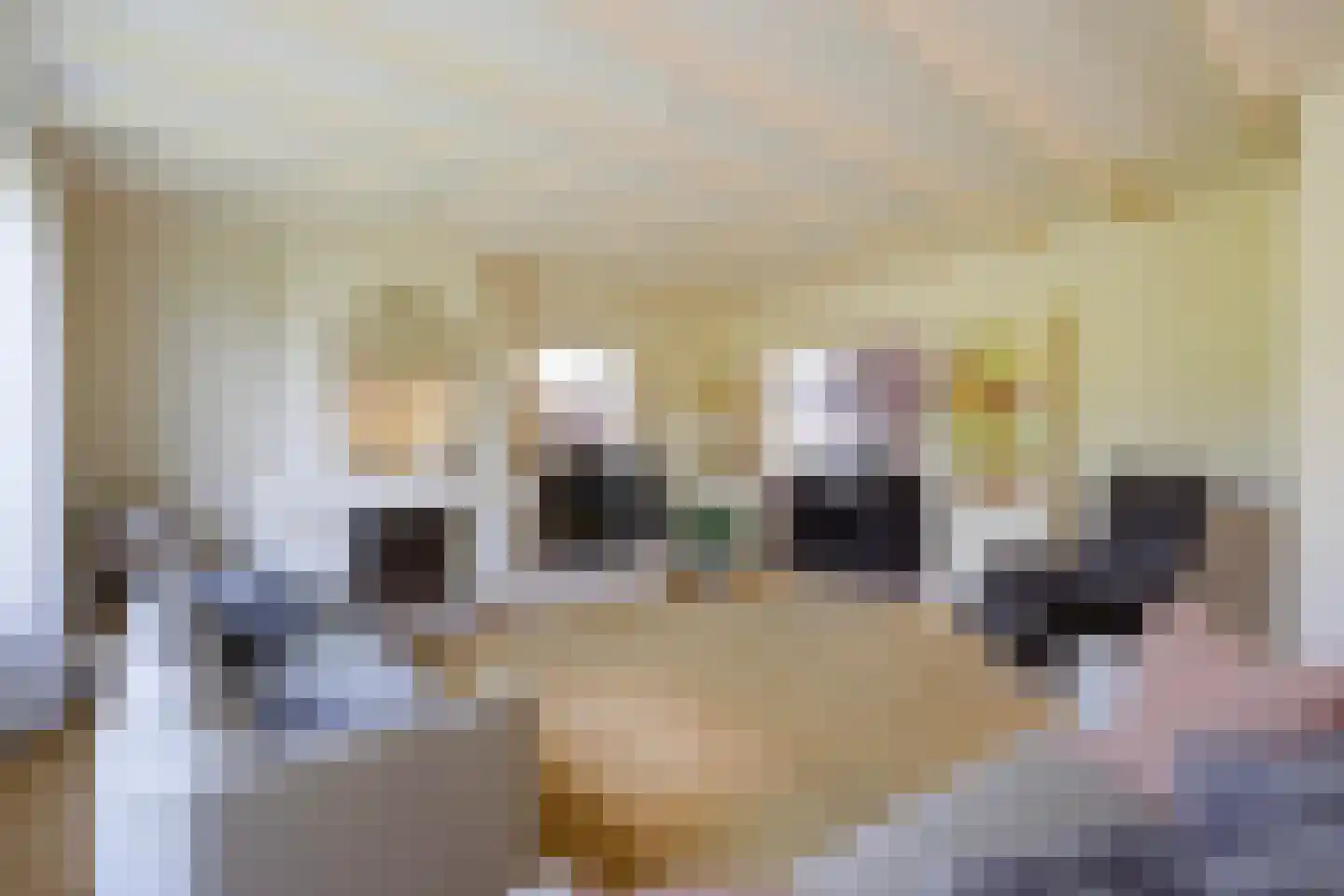 Maasdijk 73 Maasdijk thumbnail 16