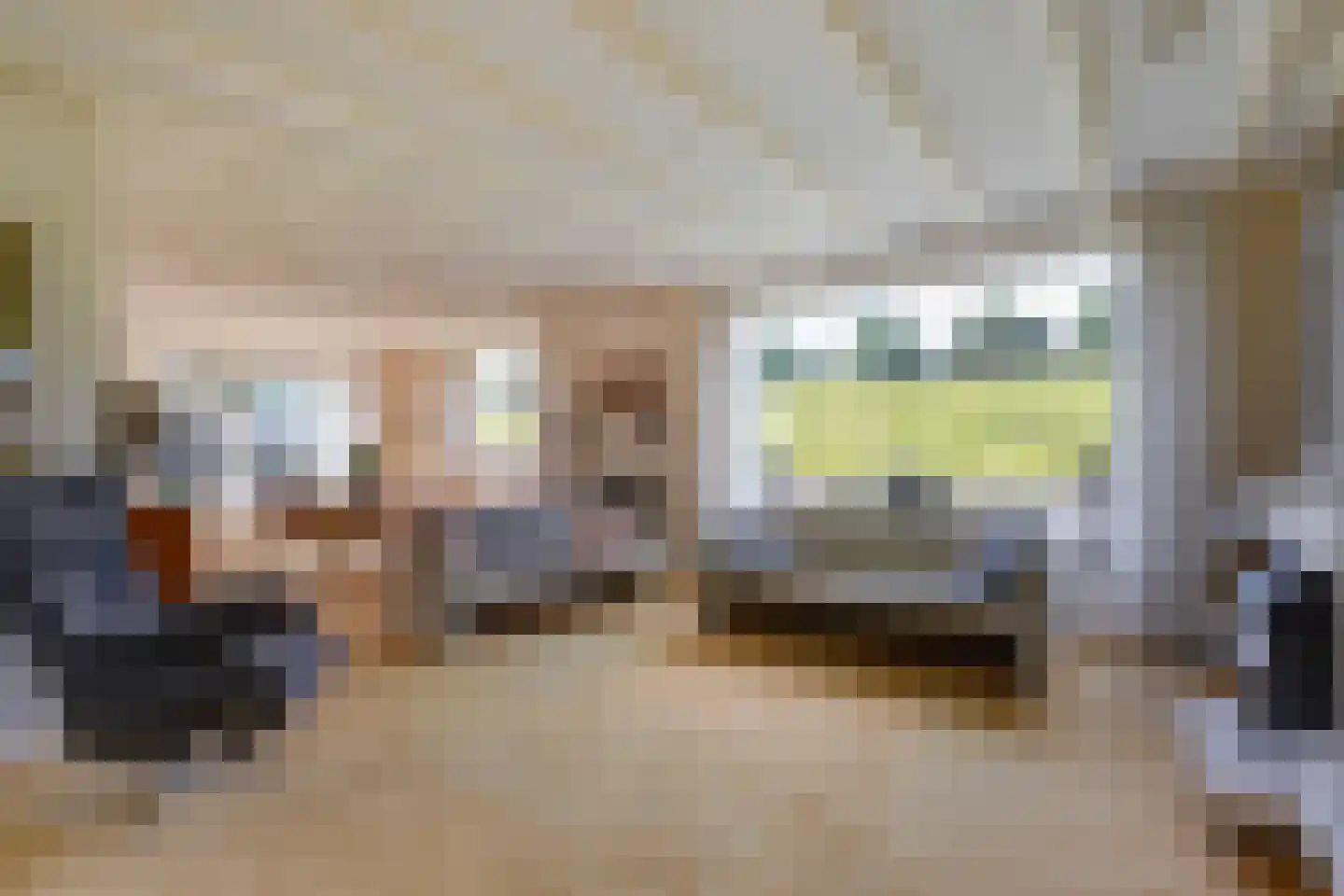 Maasdijk 73 Maasdijk thumbnail 18
