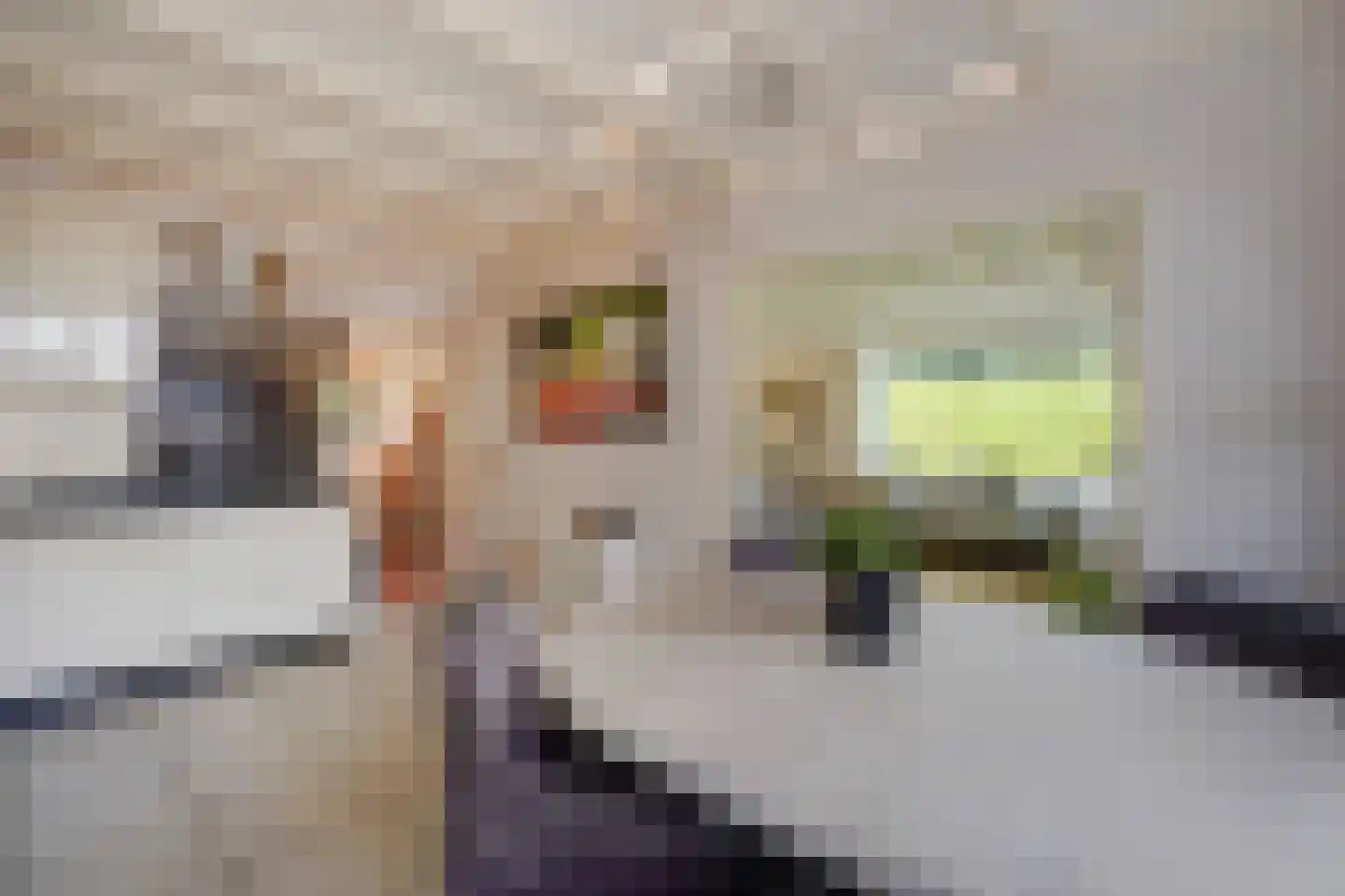 Maasdijk 73 Maasdijk thumbnail 20