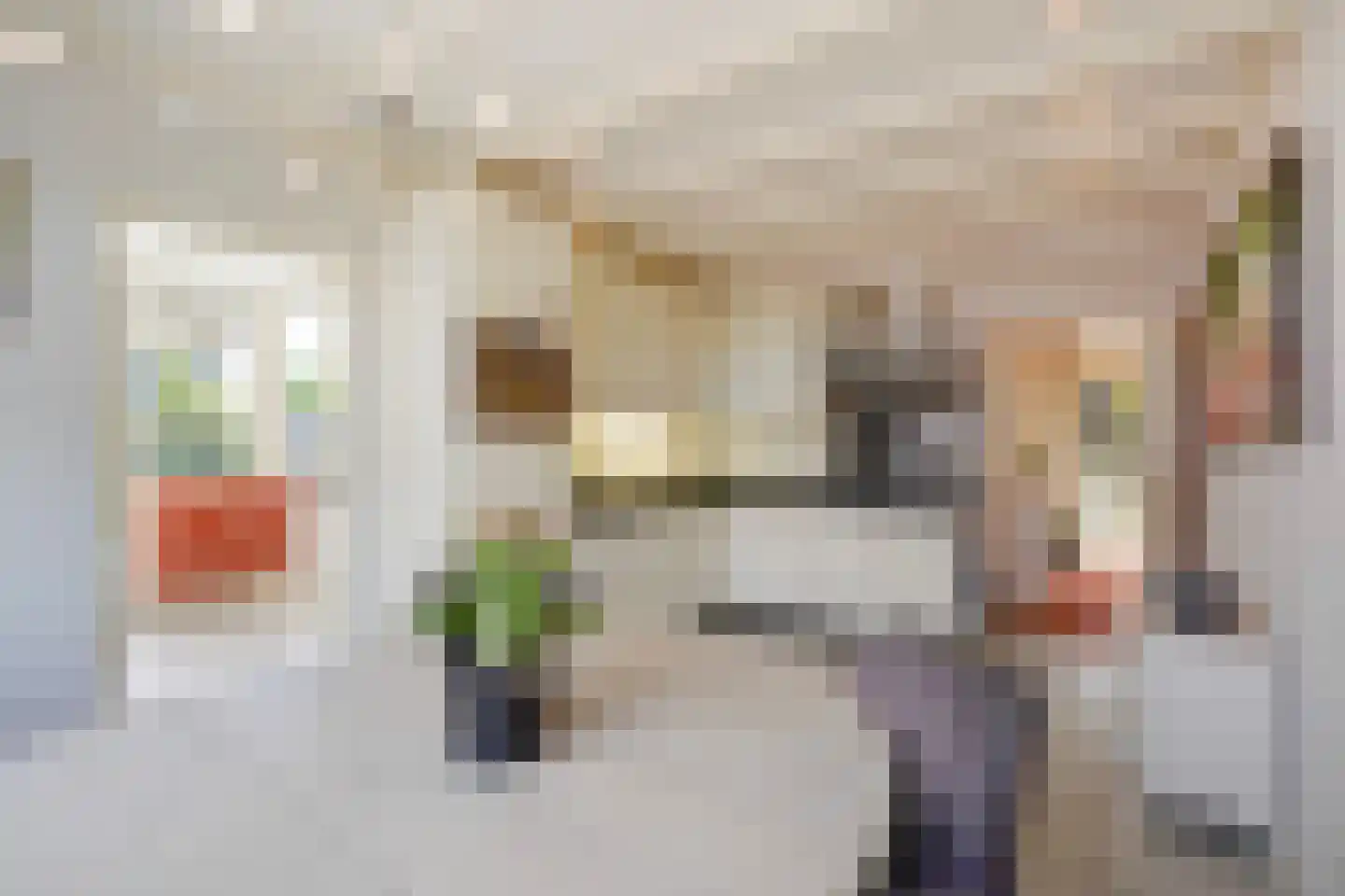 Maasdijk 73 Maasdijk thumbnail 21