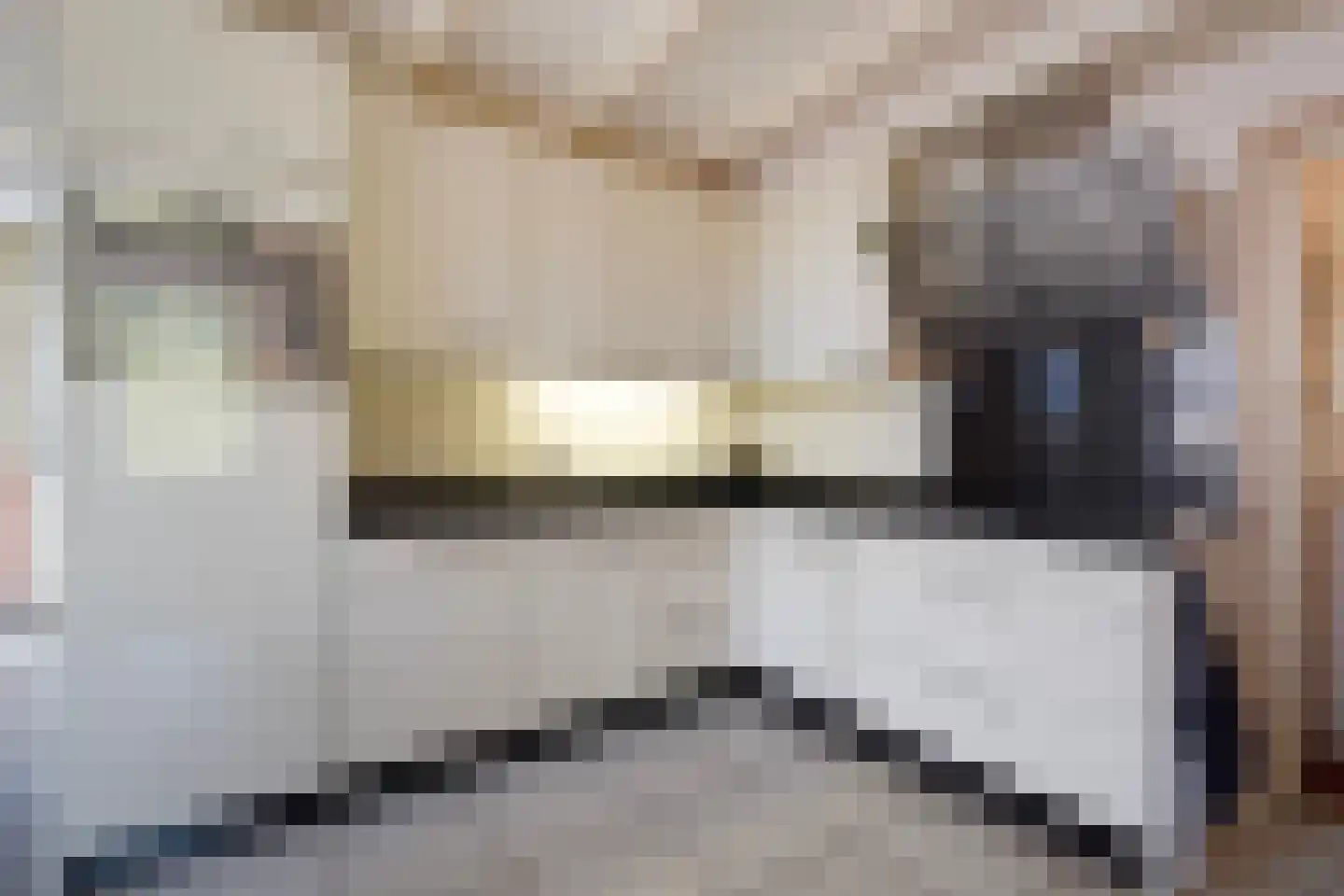 Maasdijk 73 Maasdijk thumbnail 22