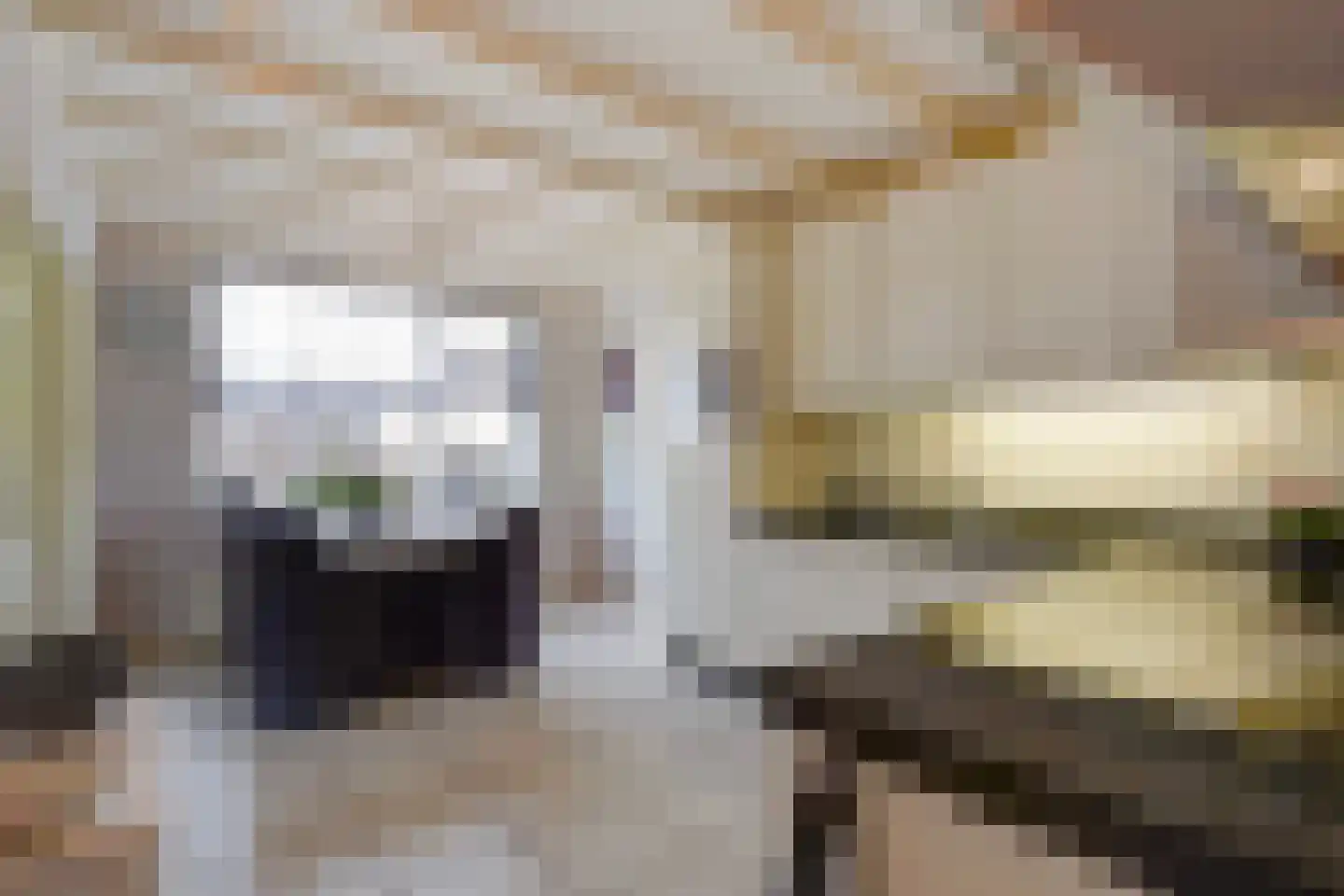 Maasdijk 73 Maasdijk thumbnail 23
