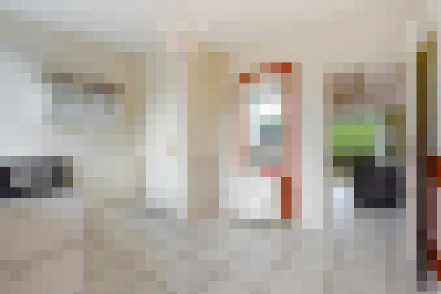 Maasdijk 73 Maasdijk thumbnail 25