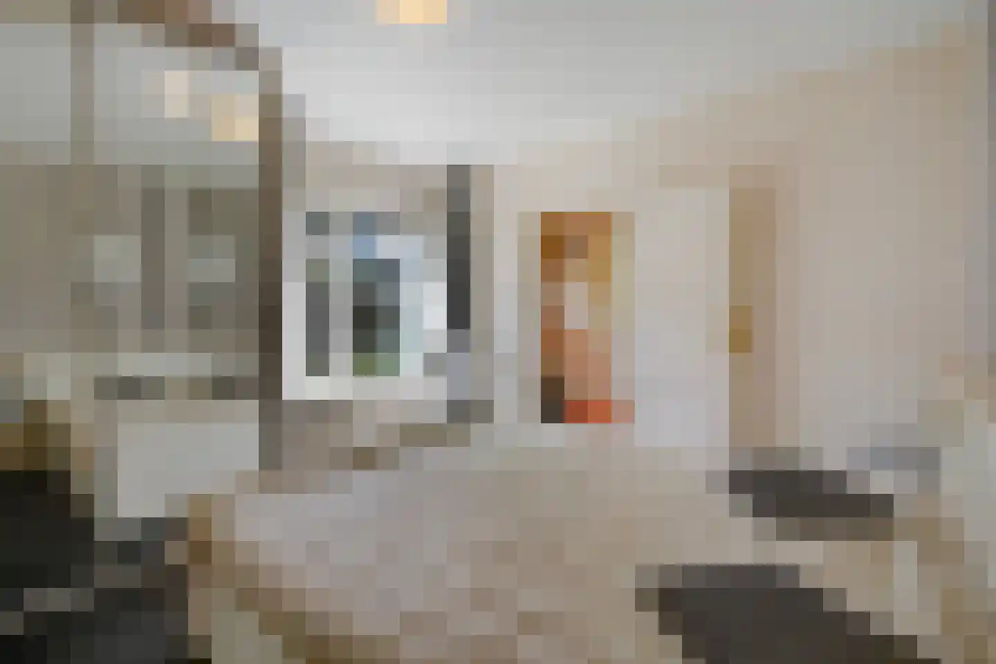 Maasdijk 73 Maasdijk thumbnail 34