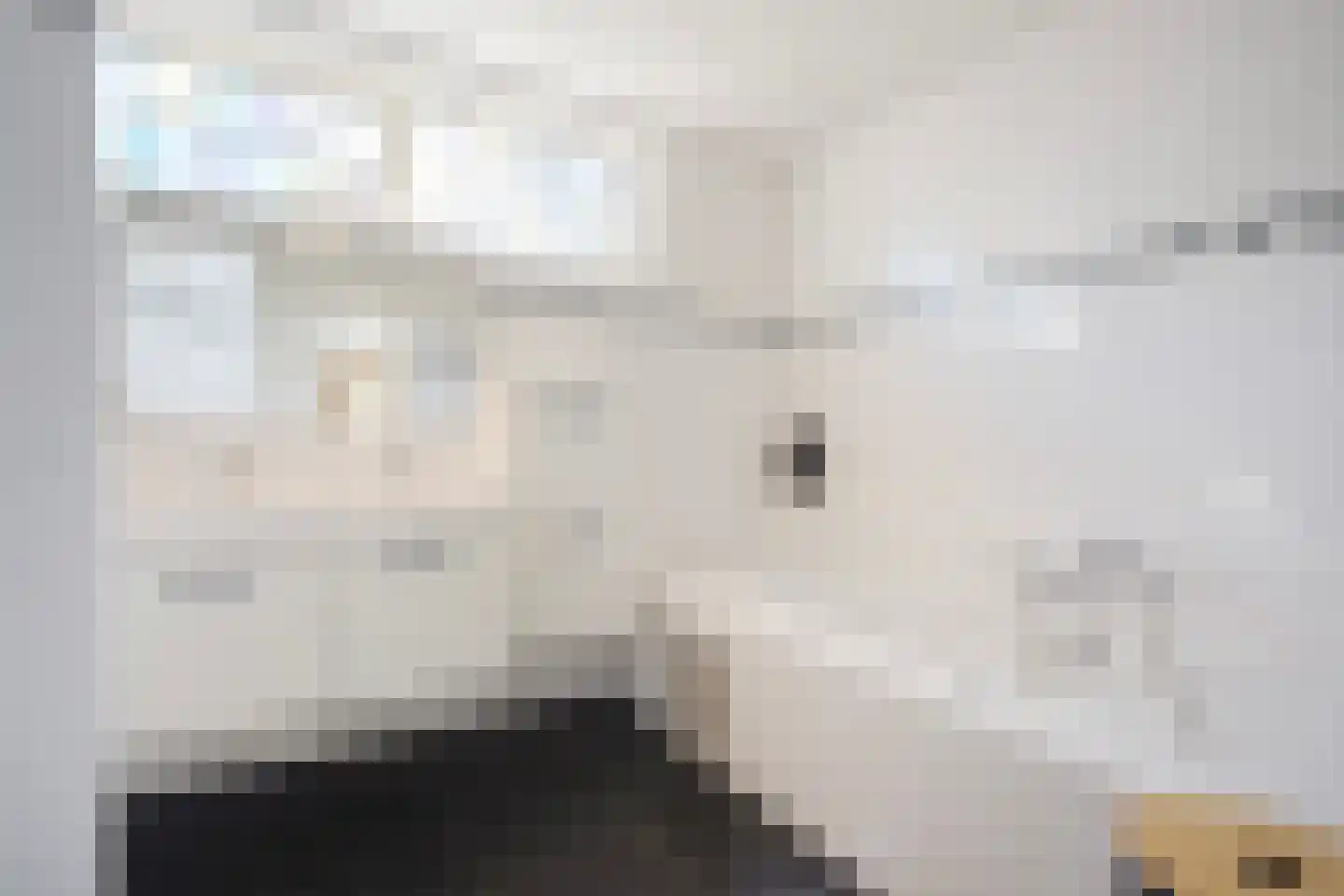 Maasdijk 73 Maasdijk thumbnail 35
