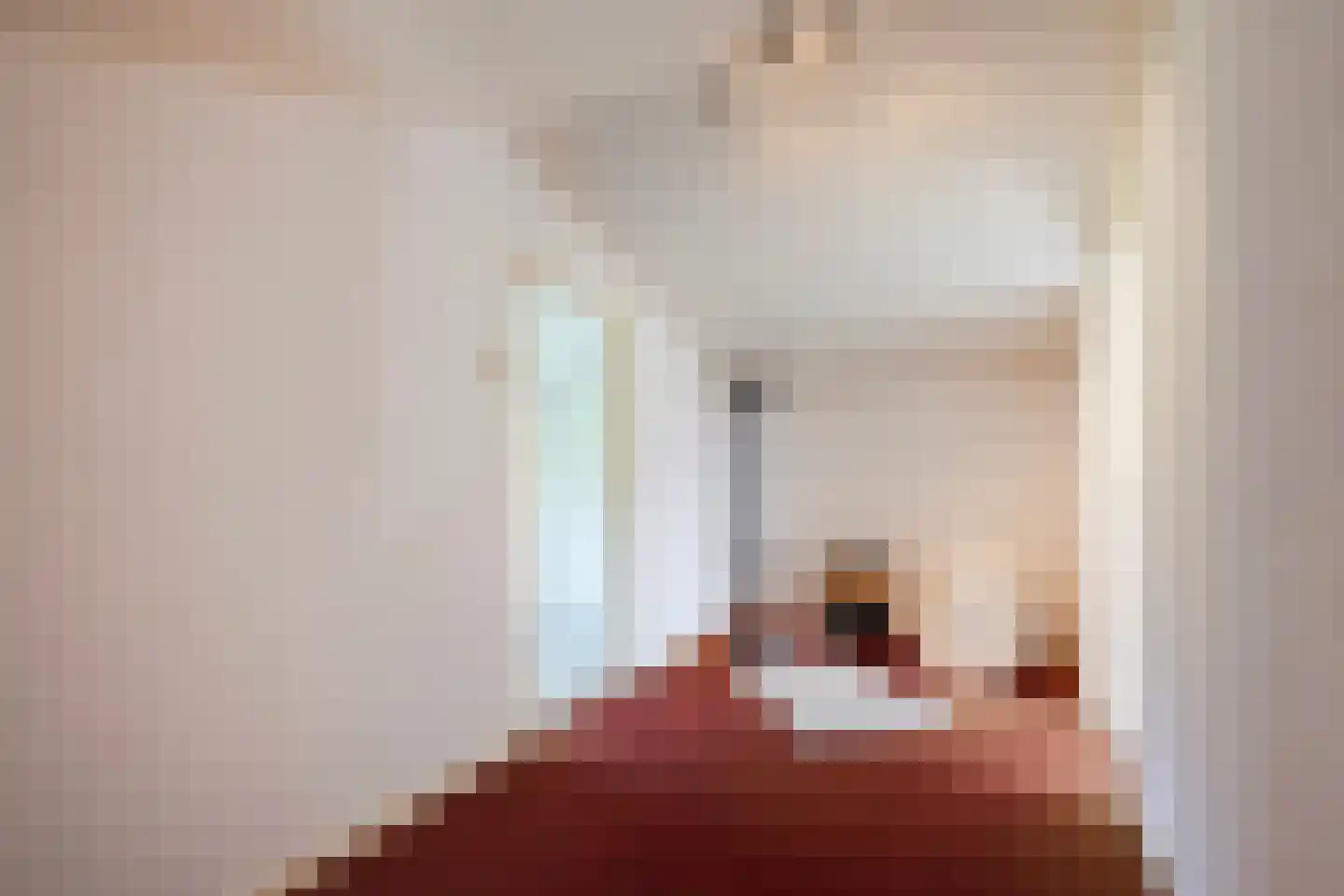 Maasdijk 73 Maasdijk thumbnail 40