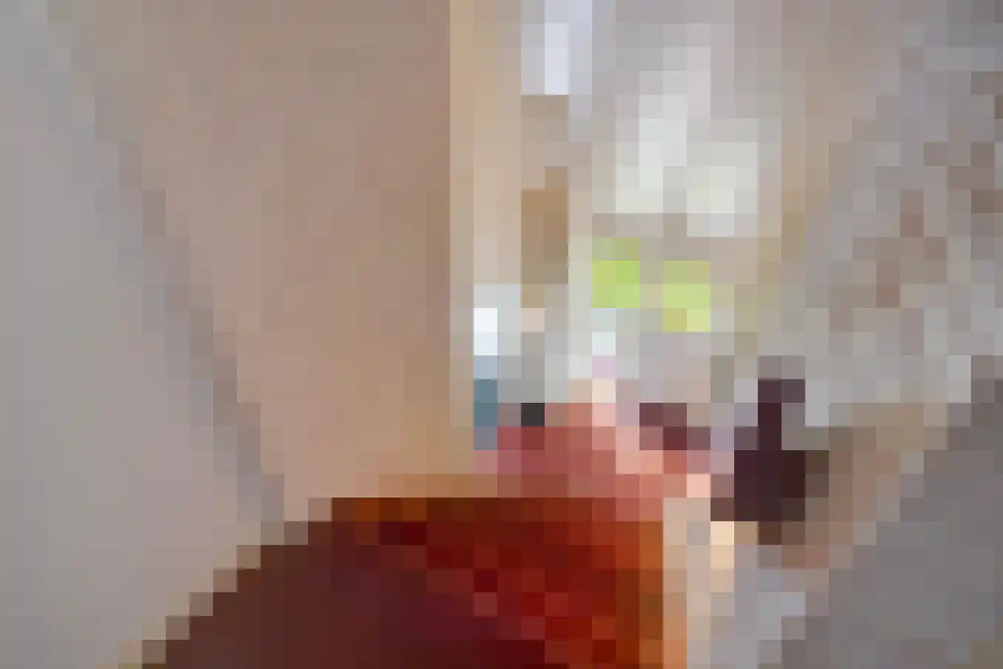 Maasdijk 73 Maasdijk thumbnail 41